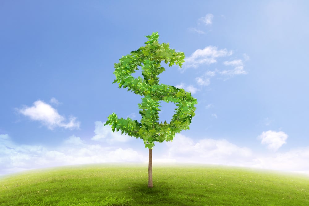 Financial growth and success on green summer natural green grass landscape with a single tree in the shape of dollar sign. Business concept of growing prosperity and investments