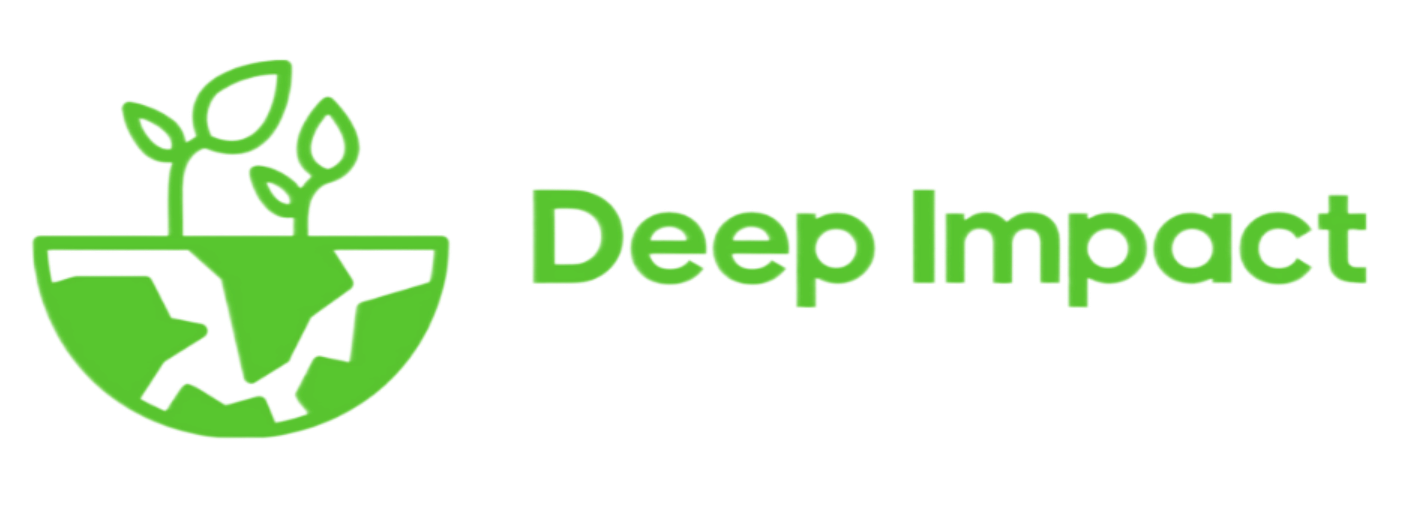 Deep Impact Logo