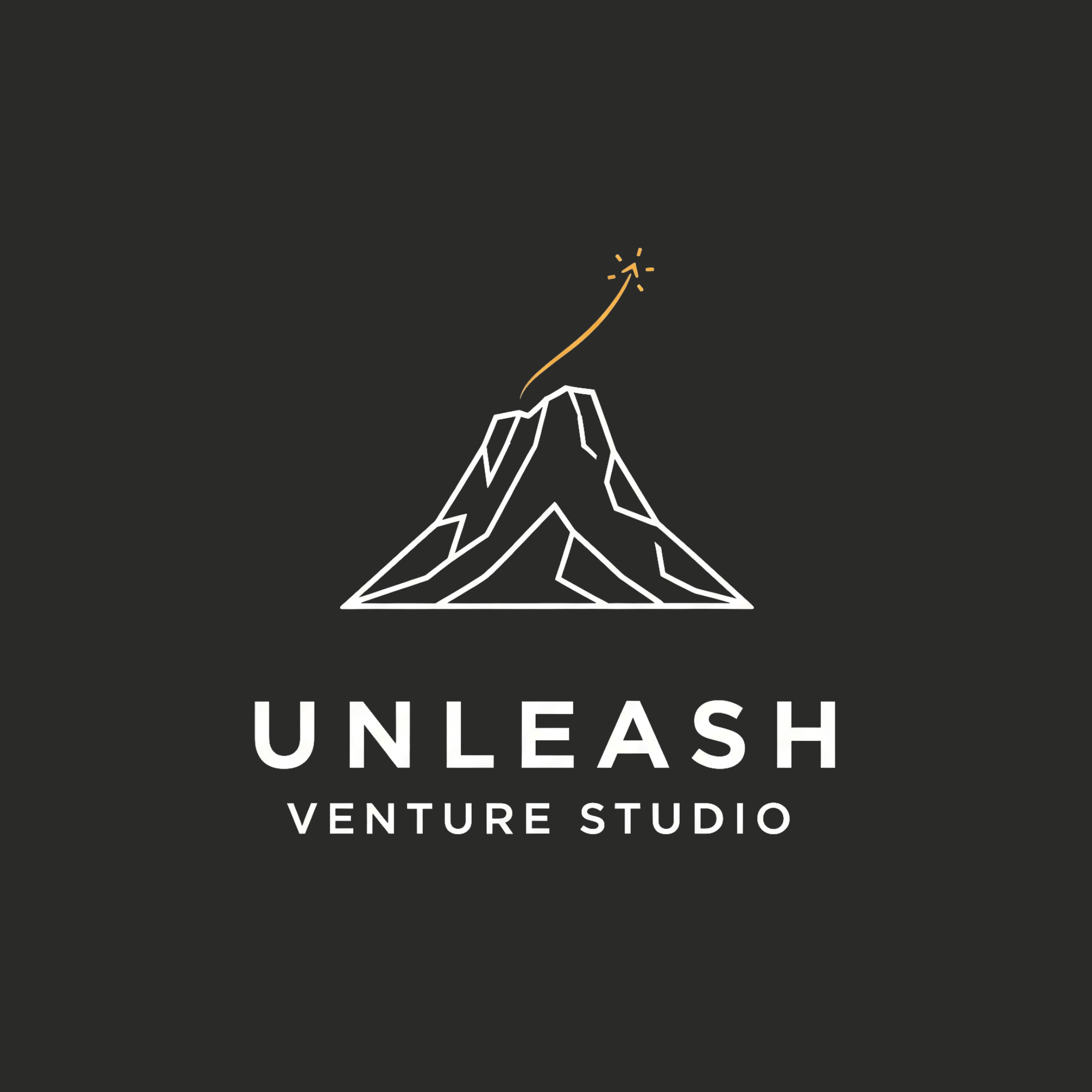 Unleash Venture Studio Logo color test